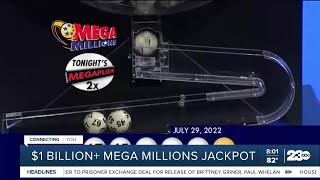 Mega Millions Winner [upl. by Leonor311]