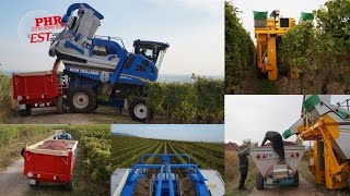 Vendanges mécaniques en Alsace [upl. by Osswald46]