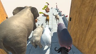 Run Boxing Challenge  MODERN MAMMAL vs Deadly Fists  Animal Revolt Battle Simulator [upl. by Strohbehn]