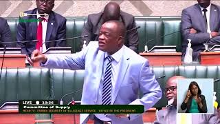 National Assembly of Zambia Live Stream [upl. by Hulburt]