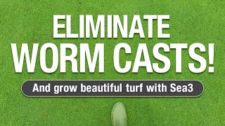 2 Minute Turf Talk  Worm Cast Elimination [upl. by Lowrie836]