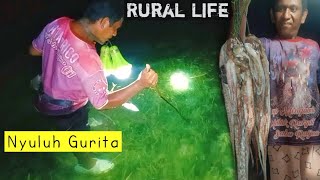 Nyuluh Gurita perdana di awal Tahun  Night Hunting [upl. by Norbel]