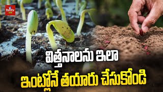 విత్తనాలను ఇలా ఇంట్లోనే తయారు చేసుకోండి  Seed Preparation  hmtv Agri [upl. by Nnyleahs579]