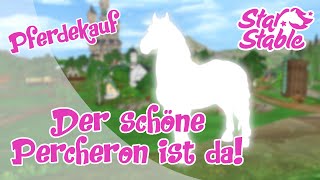 Star Stable SSO Percheron Pferdekaufaber welches [upl. by Marba340]