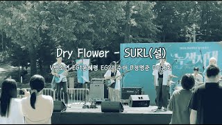 2024 소리나래 대동제 Dry Flower  SURL설 [upl. by Letch]