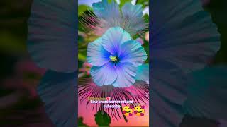 beautiful nature🌿🍃 music song sara jamana hasino ka diwana [upl. by Leruj]