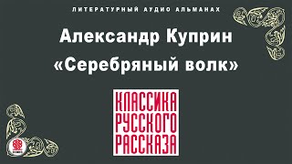 АЛЕКСАНДР КУПРИН «СЕРЕБРЯНЫЙ ВОЛК» Аудиокнига Читает Александр Котов [upl. by Messab96]