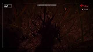 Slender The Arrival gameplay part 1 [upl. by Airolg911]