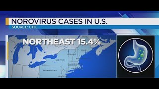 Stomach virus spreading across Northeast CDC [upl. by Wadlinger484]