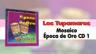 Mosaico Época De Oro  Los Tupamaros  Música Tropical [upl. by Agemo500]