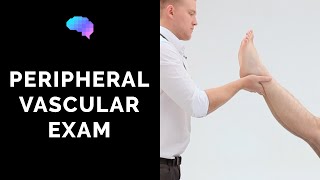 Peripheral Vascular Examination  OSCE Guide Latest  UKMLA  CPSA [upl. by Anha]