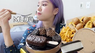 밈PD  VLOG mlog 리얼한 미현이의 세상7 브이로그라며  왜 먹기만 하는거야feat아이스나라에서 온 사춘기절정기 크림이 [upl. by Afital941]