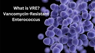 What is VRE VancomycinResistant Enterococcus [upl. by Htebasile]