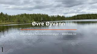 Øvre Øyvann  Oslomarka Fiskeadministrasjon  Oslo  Mittfiskeno [upl. by Hoffman]