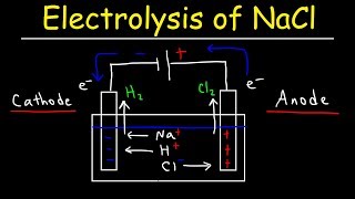 Electrolysis of Sodium Chloride  Electrochemistry [upl. by Scotty]