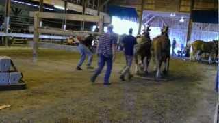 HOPKINTON STATE FAIR CONTOOCOOK NEW HAMPSHIREHORSE PULLS [upl. by Ysus]