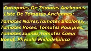 Liste De Tomates Anciennes  Catégories De Tomates Anciennes [upl. by Eilhsa805]