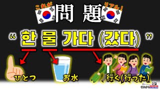 『韓国語』初級単語の組み合わせなのに何故意味が分からない？‐ 韓国語独学勢必見！ じんす先生のリアル韓国語講座 한물가다 한물갔다 [upl. by Jews]