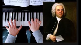 Gavotte in G French Suite No5 BWV 816 by Bach [upl. by Dolli242]