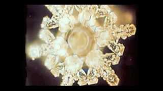 Masaru Emoto  Water Experiments [upl. by Ahsaet]