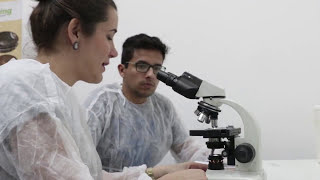 Curso de Tratamento de Efluentes  MO 03 Microbiologia de Lodos Ativados [upl. by Htebazile]