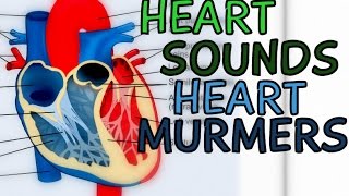 Heart Sounds and Heart Murmurs  Lub Dub [upl. by Pierrepont]