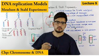 Meselson and Stahl Experiment  Models of DNA Replication  Lecture 5 [upl. by Kennie]