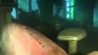 Underwater Video Shows Capsized Cruise Ship News [upl. by Larok]