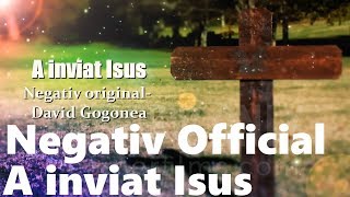 A INVIAT ISUS  NEGATIV OFFICIAL 2019 [upl. by Ainerol802]