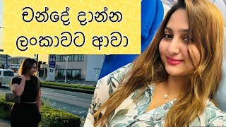 මම රට දාලා ගියා vinusiriwardana japan [upl. by Fax]