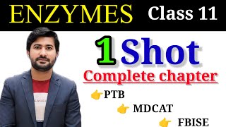 Enzymes complete chapter in 1 shot  Biology class 11 chapter 3 [upl. by Aracaj254]