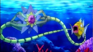 Pokemon XY  A wild Starmie makes an appearance in the Anime [upl. by Ymmot]