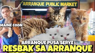 ANG PAGBABALIK SA ARRANQUE PET MARKET  PUSA SERYE  JUNE 27 2024 [upl. by Hoang711]