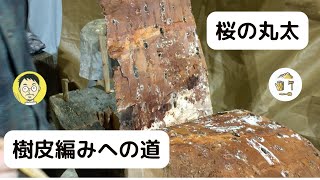 【樹皮編み】桜の木から樹皮を剥ぐだけの動画｜わかるグリーンウッドワークvol11quotCHERRY BARKquot [upl. by Ias482]