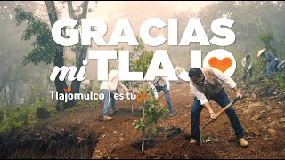 En 6 años defendimos nuestros bosques hasta las últimas consecuencias  Gobierno de Tlajomulco [upl. by Constance]