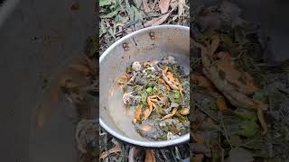 Survival in the deep forest Stream Fish Cooked with Forest Leaves 😍  Tropical Forest Bees [upl. by Kciredec]