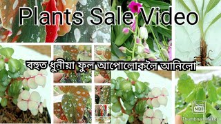 Plants Sale Video লৈ আহিছোঁবহুত ধুনীয়া ফুল আপোলোকলৈ আনিলো [upl. by Ulises]