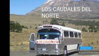 LOS CAUDALES DEL NORTE 11 A QUE NO LE PONES [upl. by Eisdnil978]