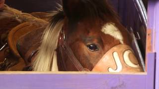 KState Rodeo Club and Team [upl. by Fredel702]