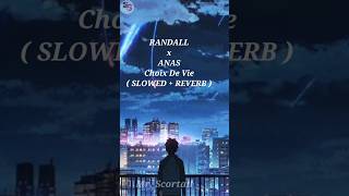 RANDALL x ANAS Choix De Vie  SLOWED  REVERB  lofi song [upl. by Airotna333]