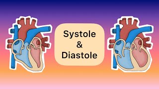 Systole und Diastole [upl. by Hoon914]