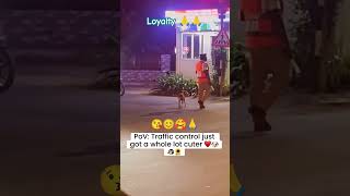 World best loyal animals ❤️🤩funny rahulpets funnypets doglover shortsfeed [upl. by Cowley893]