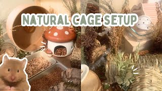 NATURAL HAMSTER CAGE SETUP  German Inspired 🌾 [upl. by Townsend700]