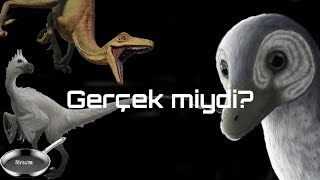 Troodon gerçek bir dinozor muydu [upl. by Bronwen]