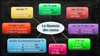 Le féminin des noms [upl. by Llertnom]