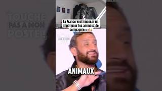 C’est incroyable il taxe tous  france impots cyrilhanouna hanouna tpmp touchepasamonposte [upl. by Teplica]