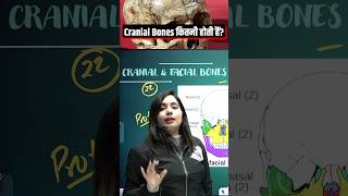 Human Bones  Cranial Bones Kitni Hoti Hain 🤔 ShortsFeed Science SSC PW [upl. by Sully]