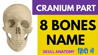 8 Cranium bones name skull anatomy  Frontal bone Temporal bone [upl. by Sellma872]