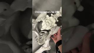 funny occhiropractor comedy chiropractorlife skeleton chiropractor duet chiropracticlifestyl [upl. by Narahs]