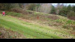 Clays Away Colerne 28th December 2023 Browning B725 Shotkam Clay pigeon shooting [upl. by Autrey]